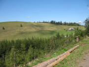 Blick vom Dr.Ganter-Weg nach Nordwesten zur Hinterwaldkopfh�tte am 5.9.2006