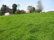 Blick vom Str��chen nach Nordwesten zum Hogenhof am 6.11.2003