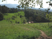 Blick von Hohtanne nach Süden über den Kandelhöhenweg runter zum ?-Hof am 12.9.2006