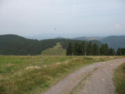 Blick vom Weg bei Immisberg nach Norden �ber H�ttenwasen zum Hinterwaldkopf am 10.9.2006