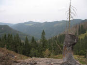 Blick von der Mantelhalde westlich der Wilhelmer H�tte nach Norden �bers Wilhelmer Tal zur Erlenbacher H�tte am 10.9.2006