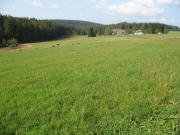Blick nach Norden zum Plattenh�usle am 24.9.2006