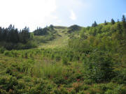 Blick von der Zastlerh�tte nach Norden �bers Zastler Loch hoch zum Feldberg am 5.9.2006