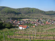 Blick vom Galgenberg nach S�dosten �ber den Heidehof auf Amoltern am 15.4.2007