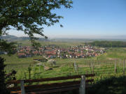 Blick vom Hüttenberg nach Süden auf Bischoffingen am 17.4.2007