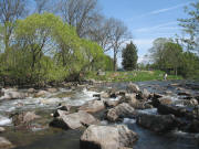 Blick nach Nordosten �ber die Dreisam beim Ebneter Wasserwerk am 23.4.2007