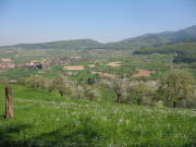Blick vom Weg von St.Johannis Breite zum Aub�chle nach Norden auf Obereggenen und Schallsingen am 17.4.2007