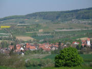Tele-Blick vom Aubächle nach Norden auf Obereggenen am 17.4.2007