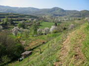 Blick nach S�dwesten von Endingen-Burg zum Katharinenberg am 15.4.2007