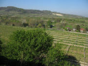 Blick von Endingen nach S�dwesten zur Amolterner Heide am 15.4.2007
