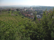 Blick gegen die Sonne nach Osten �ber Endingen nach Riegel am 15.4.2007