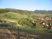 Blick vom Stalten nach Osten �ber die Weinh�nge "Paradies" oberhalb von Feldberg am 18.4.2007