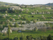 Tele-Blick vom Stalten nach S�den �ber Feldberg zum Hunnenberg am 18.4.2007