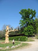 Blick nach Nordosten zur Gerichtseiche am Castellberg am 194.2007