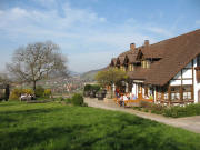 Blick nach Norden zur Strau�e im Schleifsteinhof am 10.4.2007