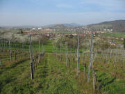 Blick �ber Grunern zum Burgberg Staufen sowie Sch�nberg am 10.4.2007