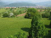 Tele-Blick vom Aussichtsturm Hohe M�hr nach Norden auf Schopfheim am 28.4.2007