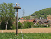 Blick  nach Norden �ber Nest 17 beim Sportplatz auf Holzen am 19.4.2007