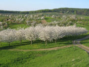 Blick �ber den Pfilbuck zwischen Feldberg und Schallsingen nach Osten am 18.4.2007