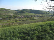 Blick vom Steinenkreuzle nach S�den auf Niedereggenen am 18.4.2007