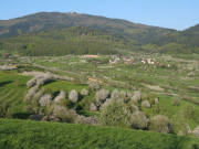 Blick vom Steinenkreuzle nach Nordosten �ber Schallsingen zum Blauen am 18.4.2007