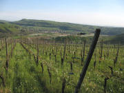 Blick vom S�dhang Eckt nach S�den auf Liel am 18.4.2007