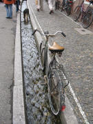 Fahrrad und Hund im B�chle in der Herrenstrasse am 1.9.2007