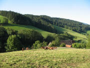 Blick nach Osten �ber den Thomashof am 26.8.2007