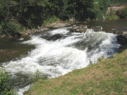 Blick zur Dreisam am Sandfang am 15.8.2007