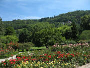 Blick nach Nordosten vom Stadtgarten zum Dattler am 1.8.2007 bei 25 Grad