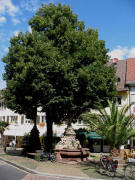 Blick nach Westen zum Unterlinden-Brunnen am 15.8.2007