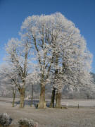 Blick nach Nordwesten zum Anna-Kreuz am 25.12.2007