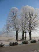 Blick nach Nordosten zum Anna-Kreuz am 25.12.2007