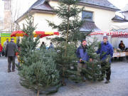 Matthias Riesterer und Thomas Albrecht (Stollenhof) mit Christb�umen aus Oberried am 22.12.2007 in Littenweiler