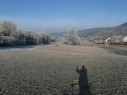 Blick nach Westen zur Dreisambuche am 25.12.2007 morgens um 8 Uhr bei -10 Grad