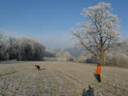 Blick nach Westen zur Dreisambuche am 25.12.2007 morgens um 8 Uhr bei -10 Grad