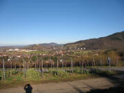Blick nach Norden über Grunern und Staufen zum Schönberg am 5.12.2007 bei 15 Grad plus