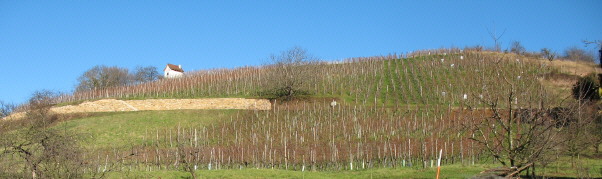 Blick nach Nordosten zum 461 m hohen Lipberg am 6.12.2007 bei 15 Grad Plus