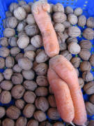 Zwei M�hren auf Nuss" am 14.12.2007 auf dem M�nstermarkt