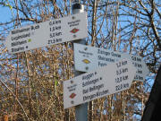 Blick nach Osten zum Wegweiser "Rossbergh�tte 311 m"