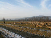 Blick nach Westen im Dreisamtal beim Golfplatz Bruckm�hle am 30.12.2007 gegen 16.30 Uhr