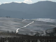 Blick von der Bellenh�he am 28.1.2007 nach S�dosten �bers Gewann Rosenberg und Letten zur �lbergkapelle