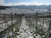 Blick nach Westen zu �lbergkapelle, Ehrenstetten und hoch zum Belchen am 28.1.2007