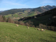 Blick nach Osten vom Fu�enh�usle am 9.2.2007 zum Hinterwaldkopf