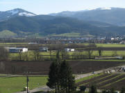 Blick vom Klorerberg nach S�dosten �ber  zu Kirchzarten, Giersberg und Hinterwaldkopf am 9.2.2007