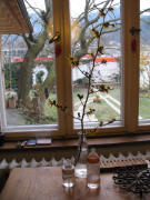60 Geburtstag am 31.1.2007