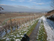 Blick vom Westhang des Fohrenberg nach Nordwesten �ber Wettelbrunn zum Kaiserstuhl am 28.1.2007