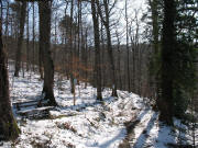 Blick nach Osten am 28.1.2007 �ber den Weisheitsbaumpfad - zwei Tafeln links