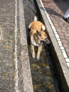 Bad im B�chle in der Herrenstrasse am 20.7.2007