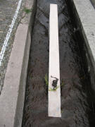 Maria auf dem Surfbrett von Regina Zapp am 20.7.2007